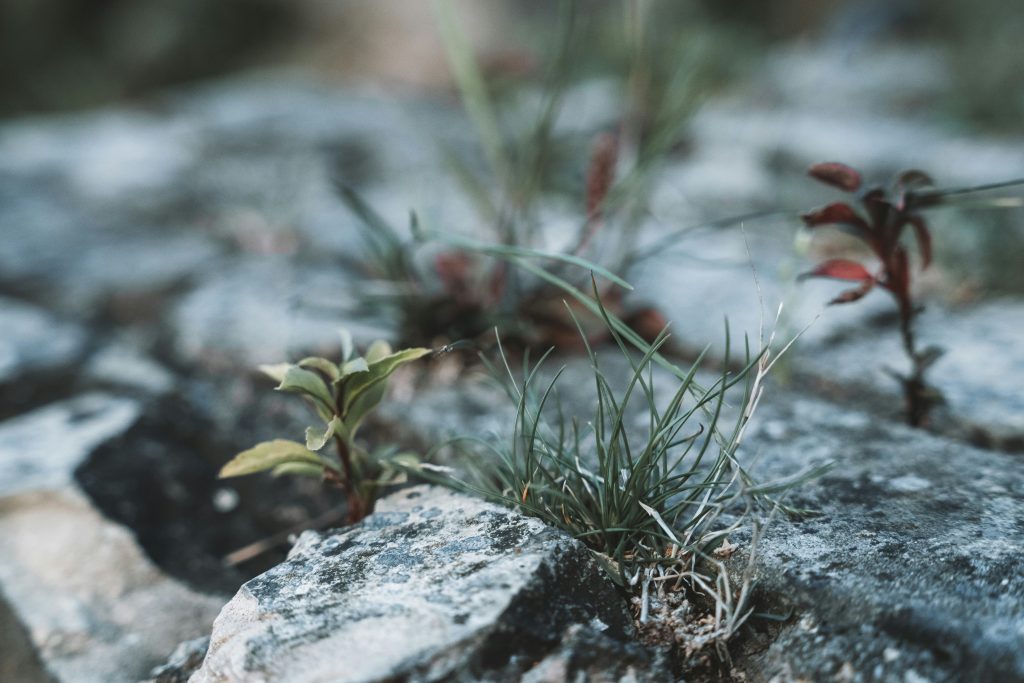 Image mise en avant Hello World